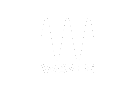 waves 308 x 308